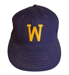 VTG Washington Huskies Hat Cap Fitted Mens 7 1/4 Pro Model Purple Pro-Line USA - Picture 1 of 7