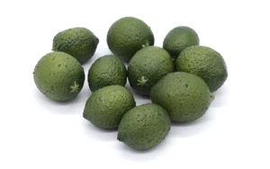 Lot of 10 Decorative Faux Limes - Plastic - Picture 1 of 3