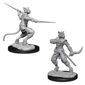 D&D Nolzurs Marvelous Unpainted Miniatures: Wave 7: Male Tabaxi Rogue - Picture 1 of 1
