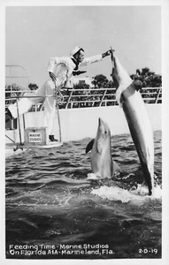 VINTAGE MARINELAND FL FLORIDA RPPC POSTCARD FEEDING TIME FOR DOLPHINS 91022 R - Picture 1 of 2