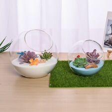 Vaso di vetro contemporaneo per micropaesaggio mostra le tue piante con il vetro