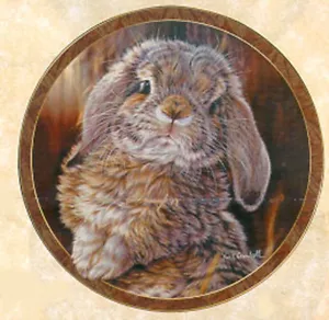 Bunny Tales Collection, by Vivi Crandall, Bradford Exchange Plate, I'm All Ears - Foto 1 di 4