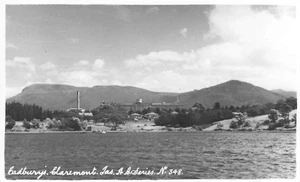 Postcard Cadburys Claremont Tasmania A.B. Series 348 RPPC - Picture 1 of 2