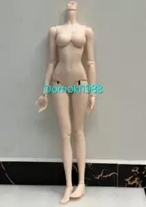 Muñeca 1/3 BJD FeePle65 Niña Cuerpo Femenino - Solo Cuerpo (Sin cabeza) DHL - Imagen 1 de 7