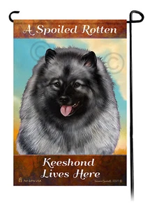 A Spoiled Rotten Keeshond Lives Here - Picture 1 of 1