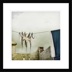 Wall Art Framed Tote Hose by Ambra Premium Giclee Art - Picture 1 of 1