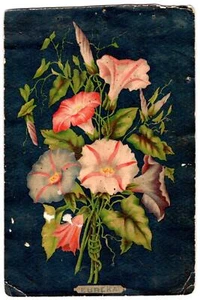 1887 WELLSBURG WEST VIRGINIA SIGNED DAISY ELIZA FORBES VICTORIAN PETUNIAS LITHO - Picture 1 of 2