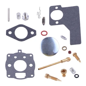 Kit de reparación de carburador apto para 394989 243434 10HP 11HP 16HP ww - Imagen 1 de 3