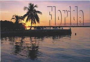 Postcard FL Florida Beach Sunset Dock Scene Oversize MINT - Picture 1 of 1