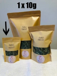 Readi Grass for Guinea Pigs, Rabbits, Hamsters, Degus, and other small animals. - Picture 1 of 1