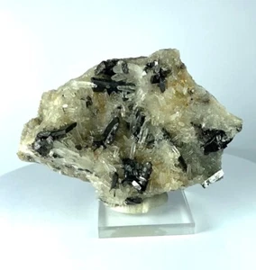 HUEBNERITE BRILLIANT CRYSTALS with CLEAR QUARTZS from PERÚ.......HUAYLLAPON MINE - Picture 1 of 8