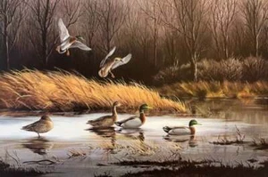 Maynard Reece - Shallow Pond - Mallards - S/N Lithographie - signiert - neuwertig - Bild 1 von 1