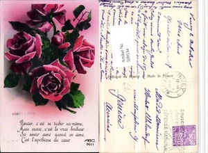 509534, flores rosas refrán - Imagen 1 de 1