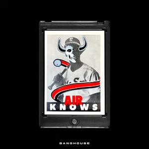 1/1 MICHAEL JORDAN 💎 AIR KNOWS NIKE SSP 💎 NEW PENINI: ONE OF ONE ART - Picture 1 of 14