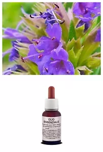 OLIO Essenziale 100% Puro ISSOPO Naturale Uso Alimentare /Cosmetico AROMATERAPIA - Foto 1 di 1