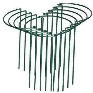 10 Pack Peony Cages and Supports, 10" (W) x 16"(H) Plant Support, Heavy-Duty - Picture 1 of 8