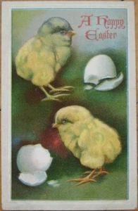 Easter 1910 Postcard: Hatching Chicks - Embossed, Color Litho - Picture 1 of 1