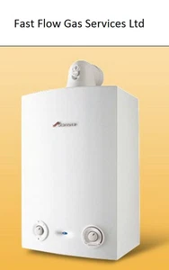 Worcester Greenstar 24 RI ERP Heat Only + flue supplied and installed - Picture 1 of 1