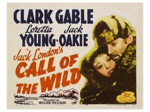 The Call of the Wild 1935 Dvd Clark Gable copy of a public domain film disc only