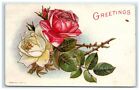 POSTCARD Greetings Red White Yellow Roses Thorns 