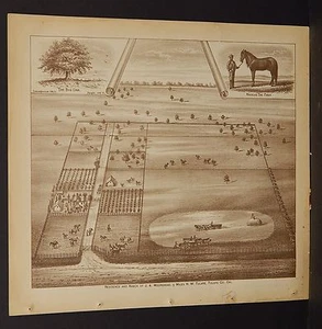 California Tulare County Map J.A. Moorehead Ranch 1892 !W12#99 - Picture 1 of 1