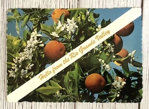 Rio Grande TX- Texas, Banner Greetings, Rio Grande Valley Vintage Postcard - Picture 1 of 6