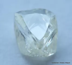 H VVS1 MINA DE DIAMANTES REALES Y HERMOSOS. PIEDRA PRECIOSA NATURAL, SIN CORTAR - Imagen 1 de 12