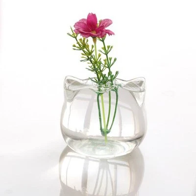 Florero hidropónico de vidrio con forma de gato terrario contenedor maceta decoración Foto 1 de 4