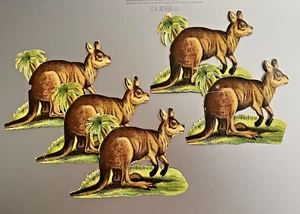 Vtg Lot Original Victorian Chromo Die Cut Kangaroo Zoo Animals Scrapbooks - Picture 1 of 5
