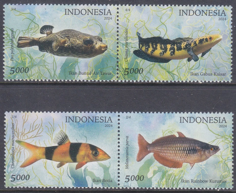 Indonesia - Indonesie Issue 2024-11-29 (Set) Tropical Fish - Image 1 of 1