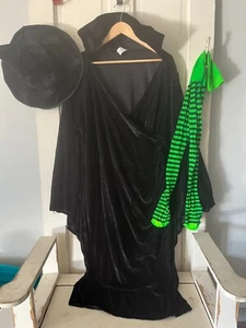 Women’s Plus Size 3XL Curves Witch Costume w/ Dress, Hat & Tights - Picture 1 of 13