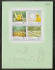 THAILAND-2006-100th ANNIVERSARY of BUDDHADASA - s/s -highly revered monk