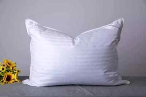 Luxury Premium Goose Down Pillows - Standard 20x26 inch - White Stripe - Picture 1 of 1