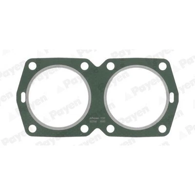 Guarnizione Testata Payen BD790 per Fiat - Immagine 1 di 2