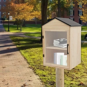 2-Tier Books Storage Box Little Library Cabinet Newspapers Organizer for Sharing - Picture 1 of 17