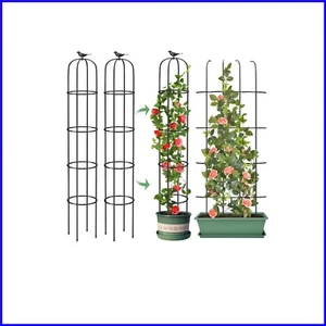 Elegant Adjustable Garden Obelisk Support for Flowers & Vines - Easy Setup - Picture 1 of 11