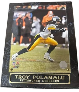 Placa fotográfica con licencia de Troy Polamalu Pittsburgh Steelers NFL 2006 archivo de fotos Inc. - Imagen 1 de 9
