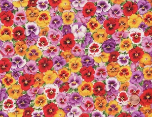 Multiple Color Pansy Floral, PATIO by Kings Road, 100% Cotton Fabric - 3 Yards - Picture 1 of 2