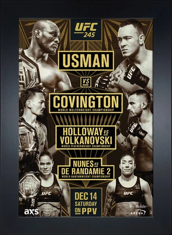 UFC 245: Usman vs Covington Replica Mini Framed 9x13 Event Poster Cover