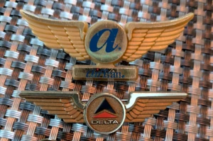 VINTAGE FLUGZEUG FLÜGEL PINS KONVOLUT: AirTrain Delta Junior Flieger Souvenirs - Bild 1 von 1