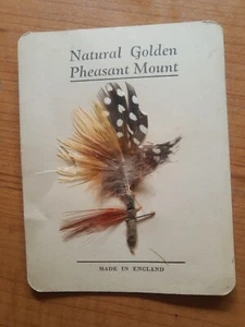 ca late 1800s Hat Band Decor Golden Pheasant Mount UK Plumes Feathers Millinery - Picture 1 of 4
