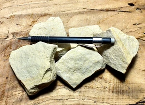 sandstone - aeolian fine-grained sandstone - unit of 5 student specimens - Picture 1 of 1