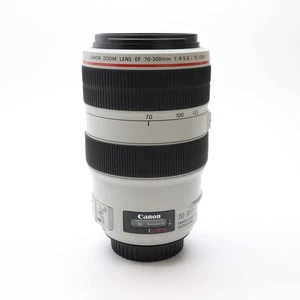 Canon EF 70-300mm F/4-5.6L IS USM (Canon EF mount) #86 - Picture 1 of 12