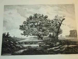 Alfred DANNEQUIN (geboren in Ivry-1890) ORIGINAL GRAVUR MARE FONTAINEBLEAU BARBIZON - Bild 1 von 4