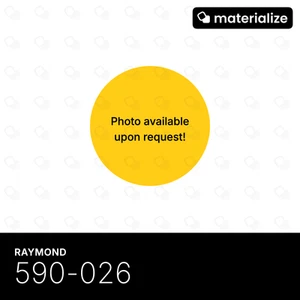 Raymond, 590-026 - Interruptor de límite (Diseñado para aplicaciones específicas) - Imagen 1 de 1