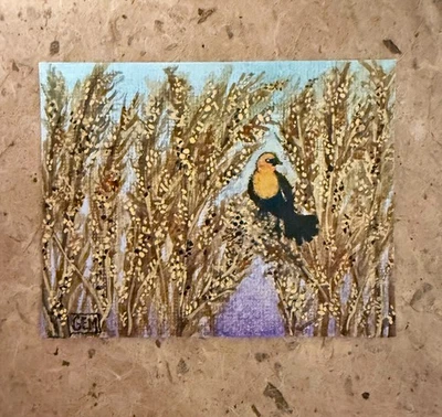 Tarjeta coleccionable de artista ACEO - mirlo cabeza amarilla - acuarela original de GEM Foto 1 de 4