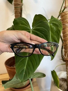 Prada VPR 18P Brown Cat Eye Eyeglasses Frames 52-17 135 Italy - Picture 1 of 9