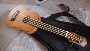 Session - Bass Ukulele mit Amp. & Speaker - Bild 1 von 7