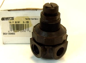 NIB Watts 1/4 P 50 M1 0-125 Plastic Water Pressure Regulator: 0-125psi, 1/4”BSP - Picture 1 of 4