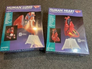 2 NEW Skilcraft Human Lung/Human Heart  model kits  #71338/#71340 LQQK Ds - Picture 1 of 9